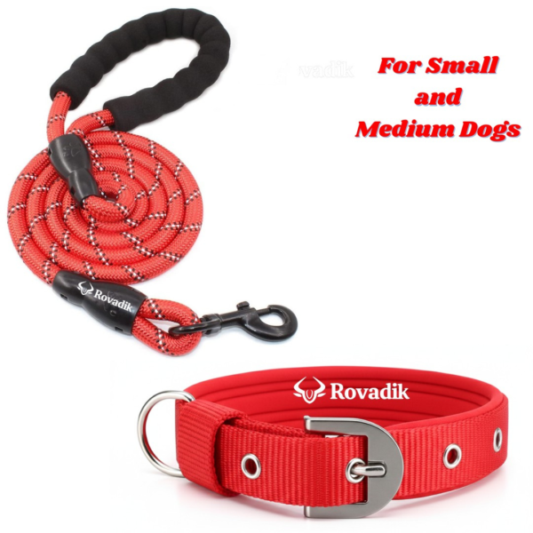 Rovadik Padded Dog Collar and Reflective Rope Leash Combo | Strong | Adjustable | Comfortable Pet Collar | for Small and Medium Dogs Beagle, Bull Dog, Basset Hound (Red, Medium)