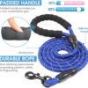 Reflective Leash-blue-1