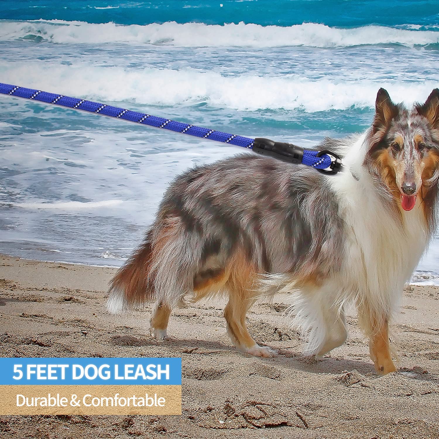 Reflective Leash-blue-3