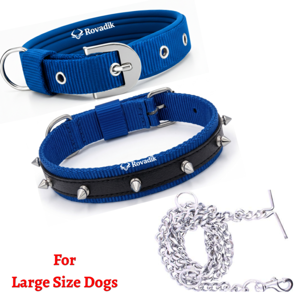 Rovadik Anti-Bite Spiked Dog Collar & Dog Chain Combo – Brass Spikes for Dog Protection| Adjustable | Safety | Comfortable |for Large Dogs | Labrador | Golden Retriever | German Shepherd | Rottweiler