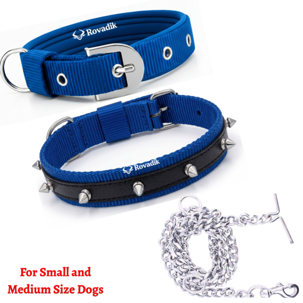 Rovadik Anti-Bite Spiked Dog Collar & Dog Chain Combo – Brass Spikes for Dog Protection| Adjustable | Safety | Comfortable | for Small & Medium Dogs | Pug, Shih Tzu, Lhasa Apso, Pomeranian, Beagle, Bulldog, Indie