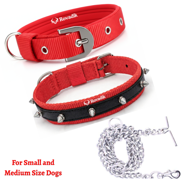 Rovadik Anti-Bite Spiked Dog Collar & Dog Chain Combo – Brass Spikes for Dog Protection| Adjustable | Safety | Comfortable | for Small & Medium Dogs | Pug, Shih Tzu, Lhasa Apso, Pomeranian, Beagle, Bulldog, Indie