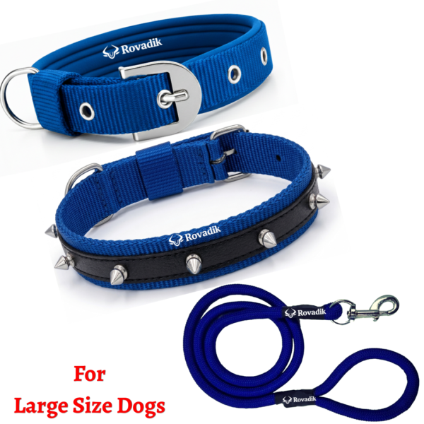 Rovadik Anti-Bite Spiked Dog Collar & Leash Combo – Brass Spikes for Dog Protection | Adjustable | Safety | Comfortable | for Large Dogs, German Shepherd, Boxer, Golden Retriever, Labrador, Rottweiler, Dalmatian, Doberman (Blue, Large)