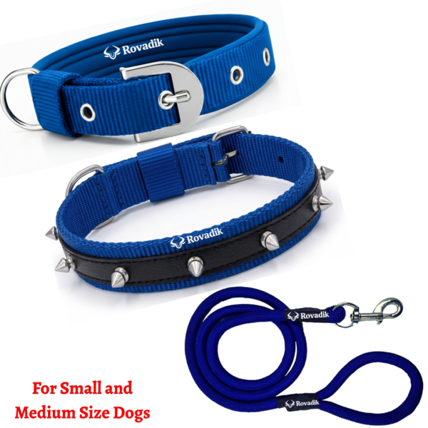 Rovadik Anti-Bite Spiked Dog Collar & Leash Combo – Brass Spikes for Dog Protection| Adjustable | Safety | Comfortable | for Small & Medium Dogs | Pug, Shih Tzu, Lhasa Apso, Pomeranian, Beagle, Bulldog, Indie (Blue, Medium)