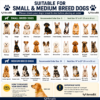 Small and medium breed dogs_01