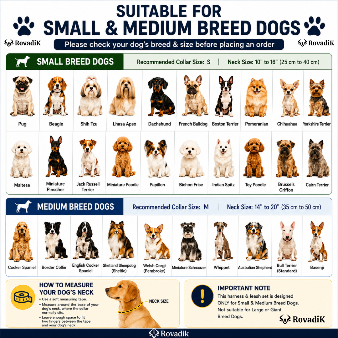 Small and medium breed dogs_01