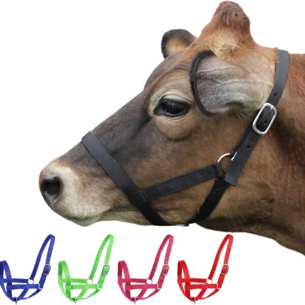 Rovadik Nylon Cow Halter (Morkhi/Mohri/Mohra)-Adjustable Head Collar for Cows, Buffaloes, Cattle, Heavy-Duty Hardware- Ideal for Farming, Ranching and Behaviour Training (Black)