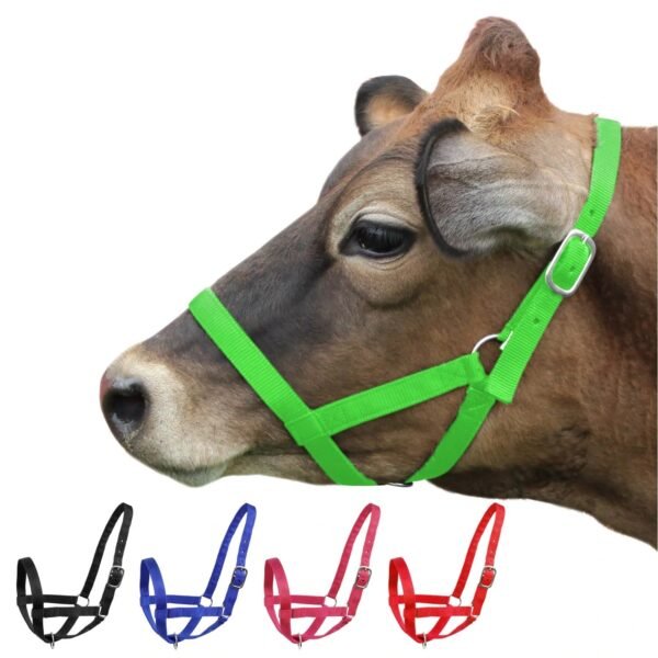 Rovadik Nylon Cow Halter (Morkhi/Mohri/Mohra)-Adjustable Head Collar for Cows, Buffaloes, Cattle, Heavy-Duty Hardware- Ideal for Farming, Ranching and Behaviour Training (Green)