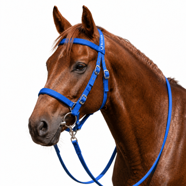 Rovadik Horse Tack Nylon Bridle with Reins and SS Bit – Dressage Bridle-English Bridle – Western Horse Bridle – Equestrian Tack-Horse Accessories, Horse Riders-Blue