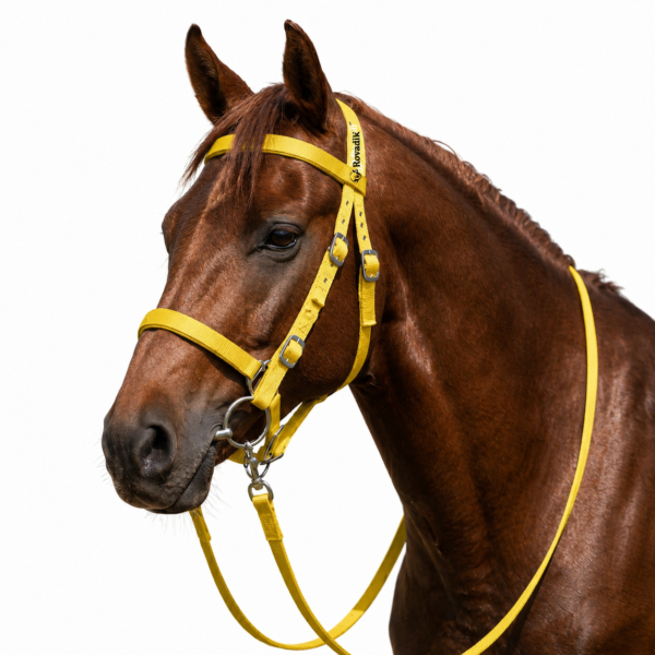 Rovadik Horse Tack Nylon Bridle with Reins and SS Bit – Dressage Bridle-English Bridle – Western Horse Bridle – Equestrian Tack-Horse Accessories, Horse Riders-Yellow