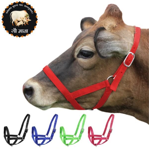 Rovadik Nylon Cow Halter (Morkhi/Mohri/Mohra)-Adjustable Head Collar for Cows, Buffaloes, Cattle, Heavy-Duty Hardware- Ideal for Farming, Ranching and Behaviour Training (Red)