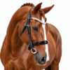 Rovadik Black Snaffle Bridle 'Couture' - With Removeable Flash Noseband Adjustable Straps & Stainless Steel Hardware for Training and Riding - Thumbnail Image 1