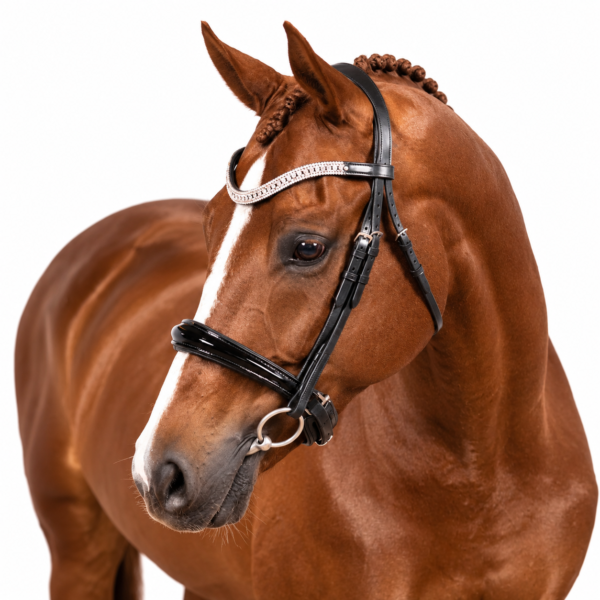 Rovadik Black Snaffle Bridle ‘Couture’ – With Removeable Flash Noseband Adjustable Straps & Stainless Steel Hardware for Training and Riding