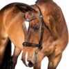 Rovadik Snaffle Bridle 'Valour' - With Removeable Flash Noseband Adjustable Straps & Stainless Steel Hardware for Training and Riding - Thumbnail Image 2