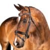 Rovadik Snaffle Bridle 'Valour' - With Removeable Flash Noseband Adjustable Straps & Stainless Steel Hardware for Training and Riding - Thumbnail Image 1
