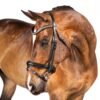 Rovadik Snaffle Bridle 'Adelaide' - With Removeable Flash Noseband Adjustable Straps & Stainless Steel Hardware for Training and Riding - Thumbnail Image 1