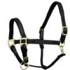 Rovadik Horse Halter for Riding Training Grooming Leading and Horse Handling | Strong and Durable | Brass Nickel Hardware | Equestrian - Thumbnail Image 6
