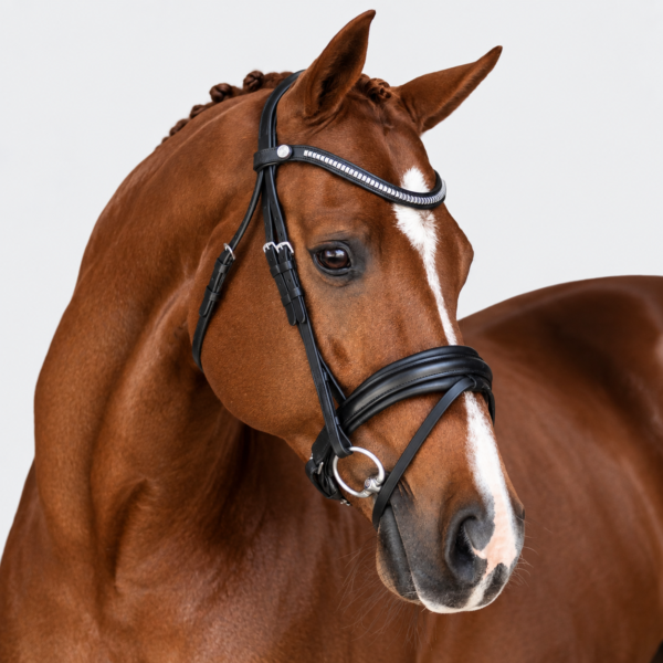 Rovadik Snaffle Bridle ‘Bespoke’ – With Removeable Flash Noseband Adjustable Straps & Stainless Steel Hardware for Training and Riding
