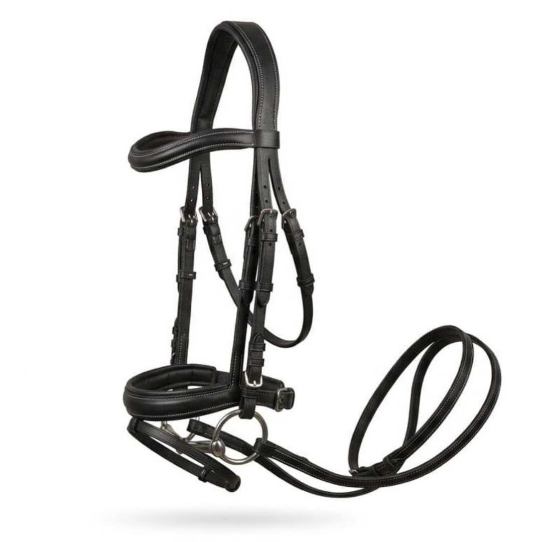 Leather Horse Bridle_02