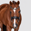 Rovadik Snaffle Bridle 'Bespoke' - With Removeable Flash Noseband Adjustable Straps & Stainless Steel Hardware for Training and Riding - Thumbnail Image 2