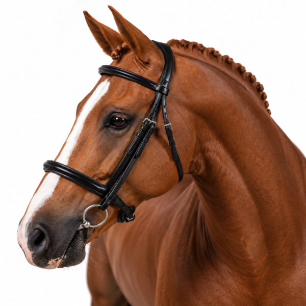Rovadik Snaffle Bridle ‘Prestige’ – With Removeable Flash Noseband Adjustable Straps & Stainless Steel Hardware for Training and Riding