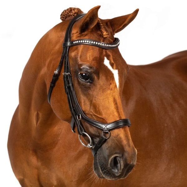 Rovadik Duo Snaffle Bridle ‘Luna’ Adjustable Straps & Stainless Steel Hardware for Training and Riding