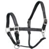 Rovadik Horse Halter for Riding Training Grooming Leading and Horse Handling | Strong and Durable | Brass Nickel Hardware | Equestrian - Thumbnail Image 3