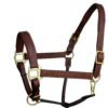 Rovadik Horse Halter for Riding Training Grooming Leading and Horse Handling | Strong and Durable | Brass Nickel Hardware | Equestrian - Thumbnail Image 4