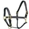 Rovadik Horse Halter for Riding Training Grooming Leading and Horse Handling | Strong and Durable | Brass Nickel Hardware | Equestrian - Thumbnail Image 5