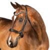 Rovadik Snaffle Bridle 'Adelaide' - With Removeable Flash Noseband Adjustable Straps & Stainless Steel Hardware for Training and Riding - Thumbnail Image 2