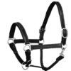 Rovadik Horse Halter for Riding Training Grooming Leading and Horse Handling Triple Stitched Cheek Piece & Designer Fancy Stitched Soft Comfort Padded Silver Brass Double Buckles Detachable Crown Piece Horse Halter - Thumbnail Image 4