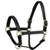 Rovadik Horse Halter for Riding Training Grooming Leading and Horse Handling Triple Stitched Cheek Piece & Designer Fancy Stitched Soft Comfort Padded Silver Brass Double Buckles Detachable Crown Piece Horse Halter - Thumbnail Image 1