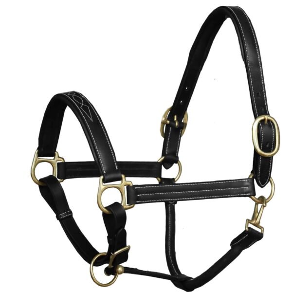 Rovadik Horse Halter for Riding Training Grooming Leading and Horse Handling Triple Stitched Cheek Piece & Designer Fancy Stitched Soft Comfort Padded Silver Brass Double Buckles Detachable Crown Piece Horse Halter