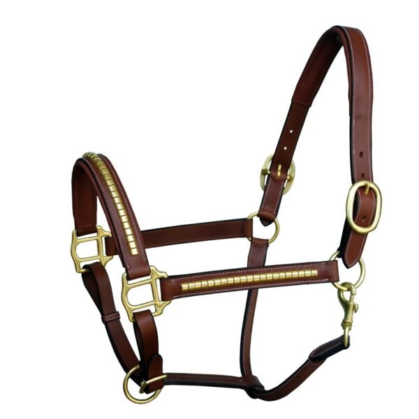 Rovadik Horse Halter for Riding Training Grooming Leading and Horse Handling | Brass Clincher Studded on Cheek Pieces & Noseband & Soft Padding Gold Brass Double Buckles Detachable Crown Piece Premium Horse Halter