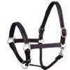 Rovadik Horse Halter for Riding Training Grooming Leading and Horse Handling Triple Stitched Cheek Piece & Designer Fancy Stitched Soft Comfort Padded Silver Brass Double Buckles Detachable Crown Piece Horse Halter - Thumbnail Image 5