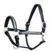 Rovadik Horse Halter for Riding Training Grooming Leading and Horse Handling | Brass Clincher Studded on Cheek Pieces & Noseband & Soft Padding Gold Brass Double Buckles Detachable Crown Piece Premium Horse Halter - Thumbnail Image 1