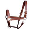 Rovadik Horse Halter for Riding Training Grooming Leading and Horse Handling Triple Stitched Cheek Piece & Designer Fancy Stitched Soft Comfort Padded Silver Brass Double Buckles Detachable Crown Piece Horse Halter - Thumbnail Image 6
