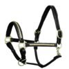 Rovadik Horse Halter for Riding Training Grooming Leading and Horse Handling | Brass Clincher Studded on Cheek Pieces & Noseband & Soft Padding Gold Brass Double Buckles Detachable Crown Piece Premium Horse Halter - Thumbnail Image 3