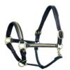 Rovadik Horse Halter for Riding Training Grooming Leading and Horse Handling | Brass Clincher Studded on Cheek Pieces & Noseband & Soft Padding Gold Brass Double Buckles Detachable Crown Piece Premium Horse Halter - Thumbnail Image 4