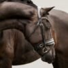 Rovadik Horse Bridle 'Opulence' - Plain Raised Padded Flash Bridle | Adjustable Straps & Stainless Steel Hardware for Training and Riding - Thumbnail Image 5