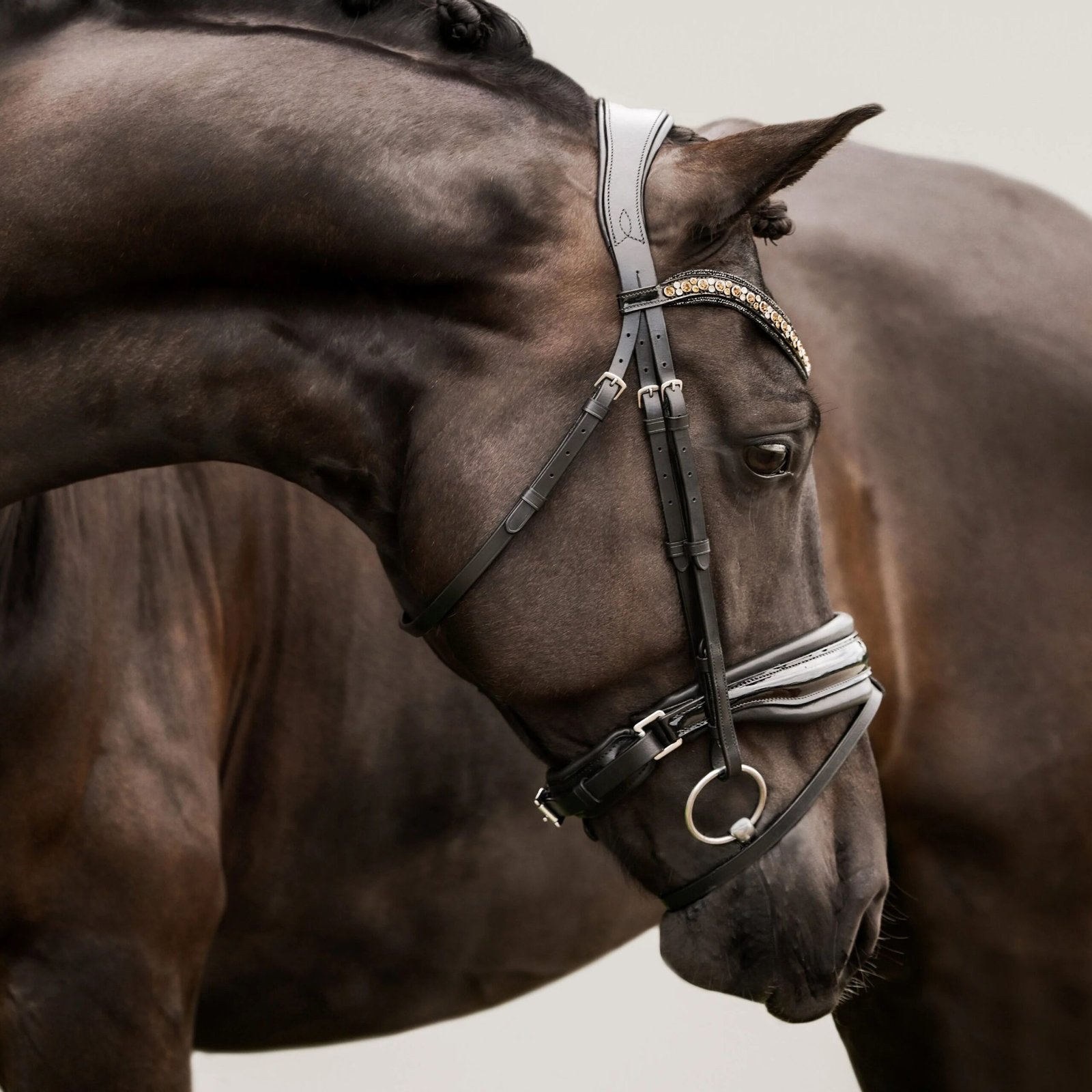 Rovadik Horse Bridle 'Opulence' - Plain Raised Padded Flash Bridle | Adjustable Straps & Stainless Steel Hardware for Training and Riding - Image 5