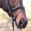 Rovadik Horse Bridle 'Deluxe' - Plain Raised Padded Flash Bridle | Adjustable Straps & Stainless Steel Hardware for Training and Riding - Thumbnail Image 4