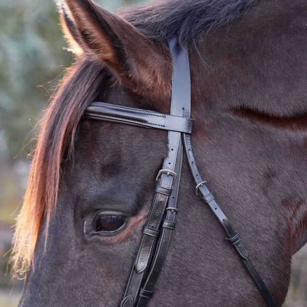 Rovadik Horse Bridle ‘Deluxe’ – Plain Raised Padded Flash Bridle | Adjustable Straps & Stainless Steel Hardware for Training and Riding