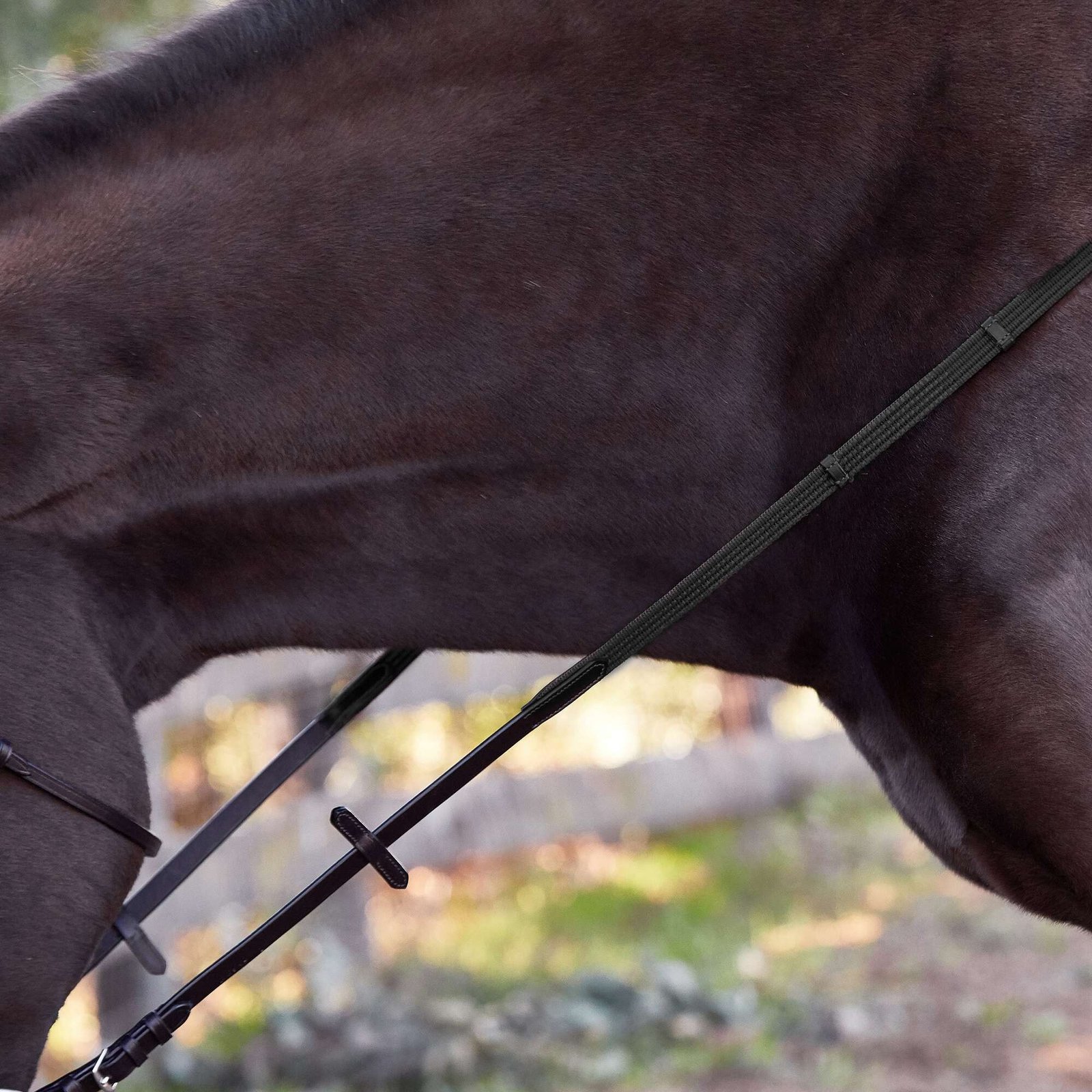 Rovadik Horse Bridle 'Deluxe' - Plain Raised Padded Flash Bridle | Adjustable Straps & Stainless Steel Hardware for Training and Riding - Image 3