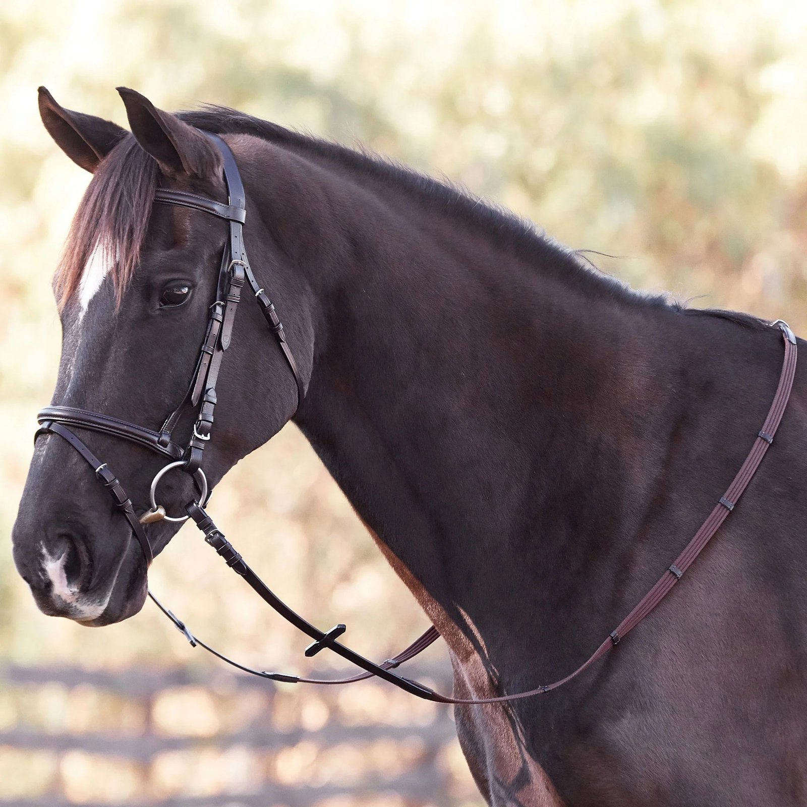 Rovadik Horse Bridle 'Deluxe' - Plain Raised Padded Flash Bridle | Adjustable Straps & Stainless Steel Hardware for Training and Riding - Image 5