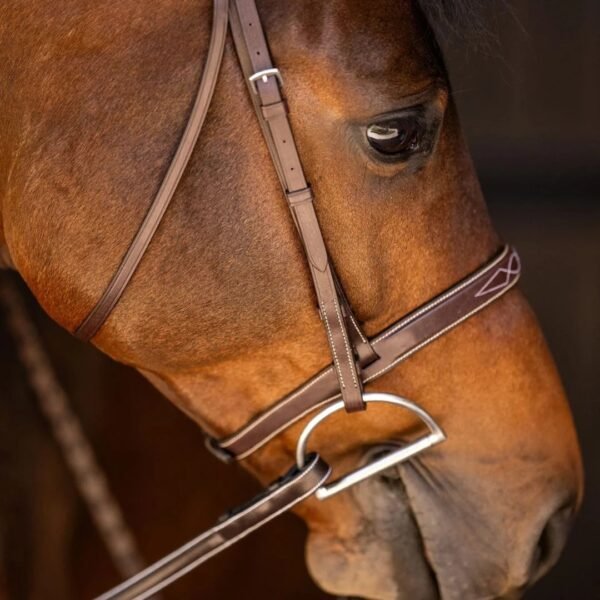 Rovadik Horse Bridle ‘Deluxe’ – Plain Raised Padded Flash Bridle | Adjustable Straps & Stainless Steel Hardware for Training and Riding_RVD_01