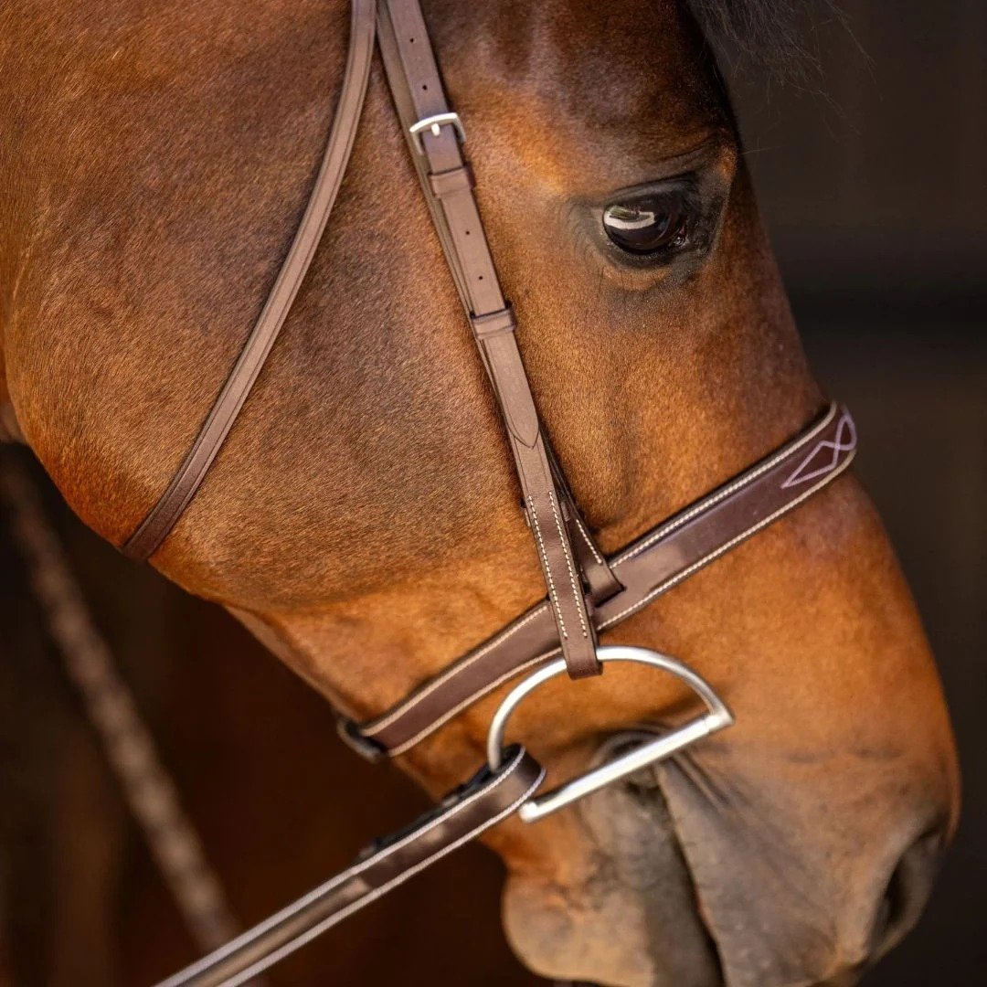 Rovadik Horse Bridle 'Deluxe' - Plain Raised Padded Flash Bridle | Adjustable Straps & Stainless Steel Hardware for Training and Riding_RVD_01 - Image 2